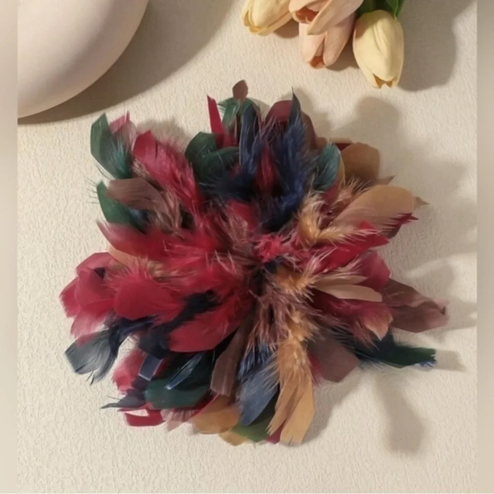 ✨NEW Multicolor Feather Brooch